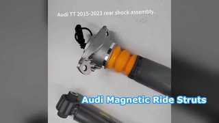 Supporti magnetici Audi TT A3 S3 RS3