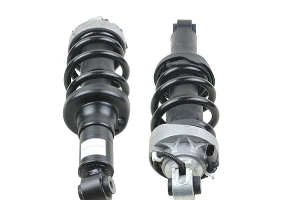 Ammortizzatore 2007-2015 della molla di sospensione di Audi R8 Front Rear Left Right 420512019J 420412020AG