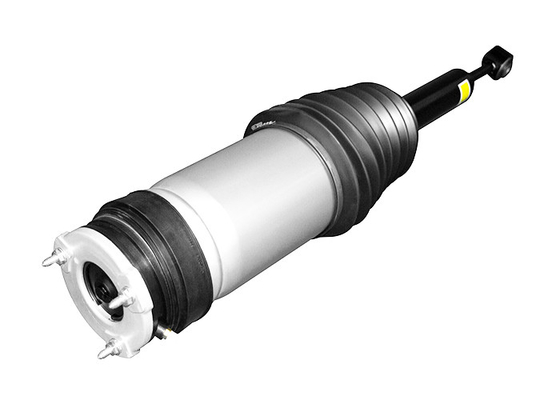 W309255002 Assorbitore di urti con sospensione d'aria posteriore sinistra/destra per Tesla Model X 2016-2021.