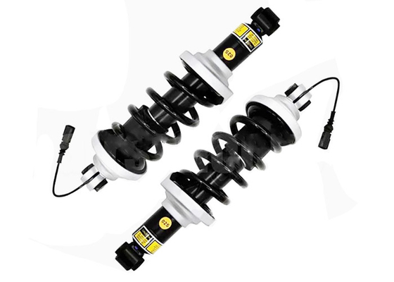 Struts di scossa posteriore Assys con Electric Fit 2016-2021 Audi R8 4S3 4SP 2016-2021 4S0512019G