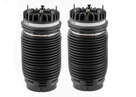 borse posteriori della sospensione dell'aria di 04877136AA 04877136AB per Dodge Ram 1500 Classic 2013-2018 sinistra e destra